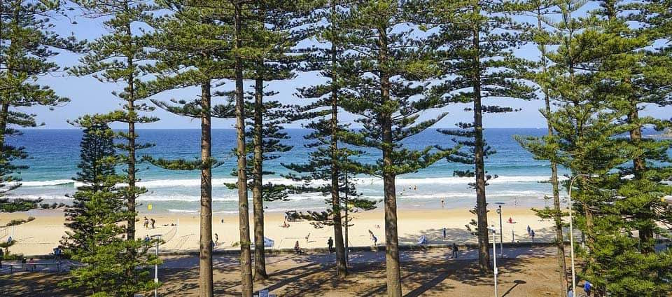 Best Beaches Sydney-Bondi Joe Swimwear