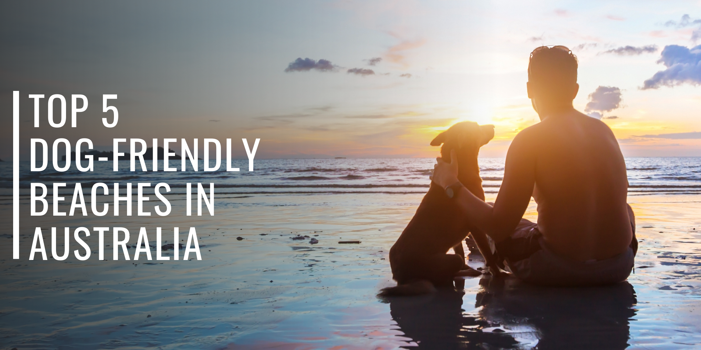 Top 5 Dog-Friendly Beaches in Australia-Bondi Joe Swimwear