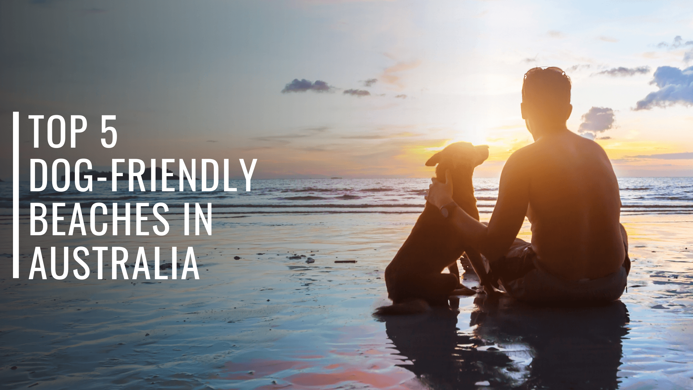 Top 5 Dog-Friendly Beaches in Australia-Bondi Joe Swimwear