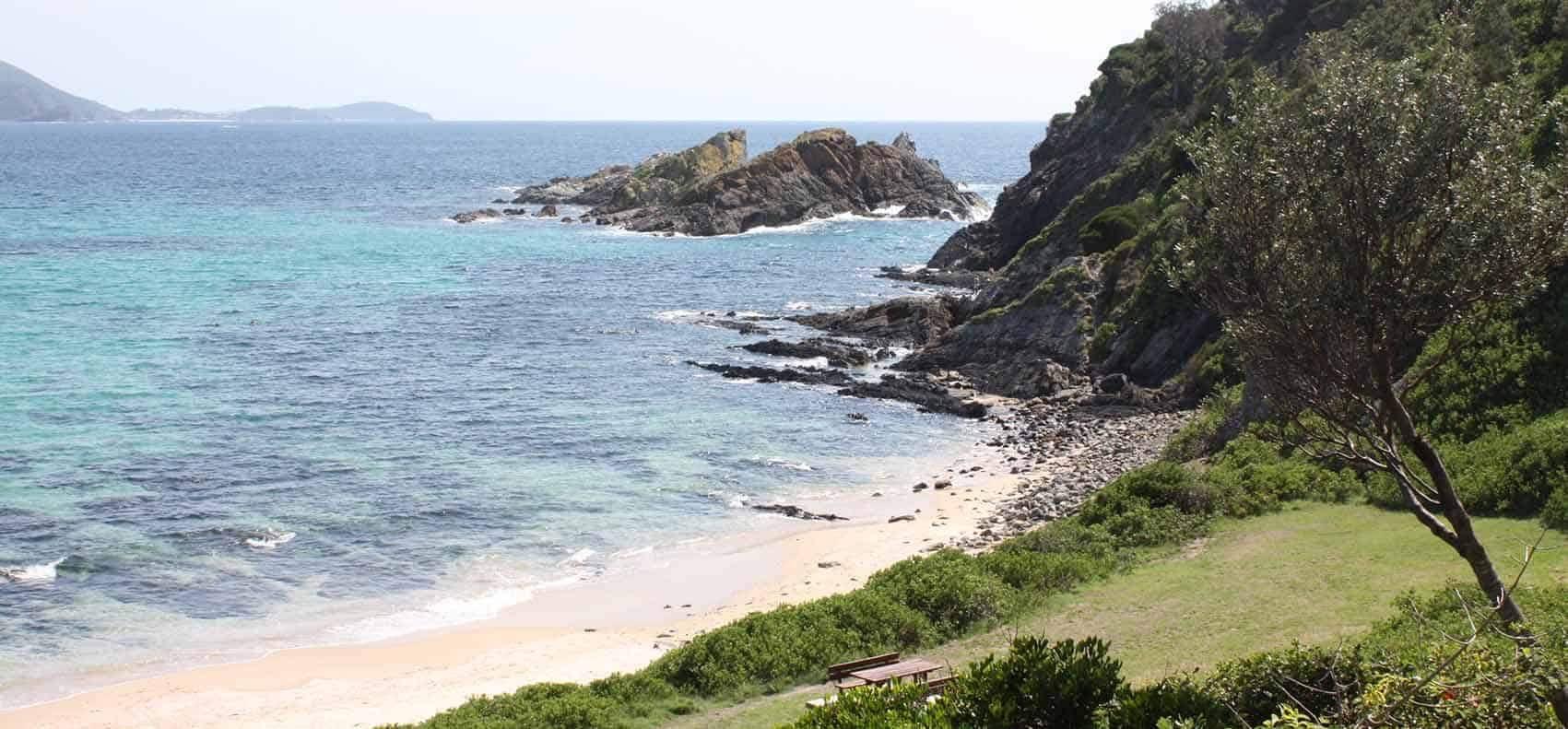 Swimming at Seal Rocks-Bondi Joe Swimwear