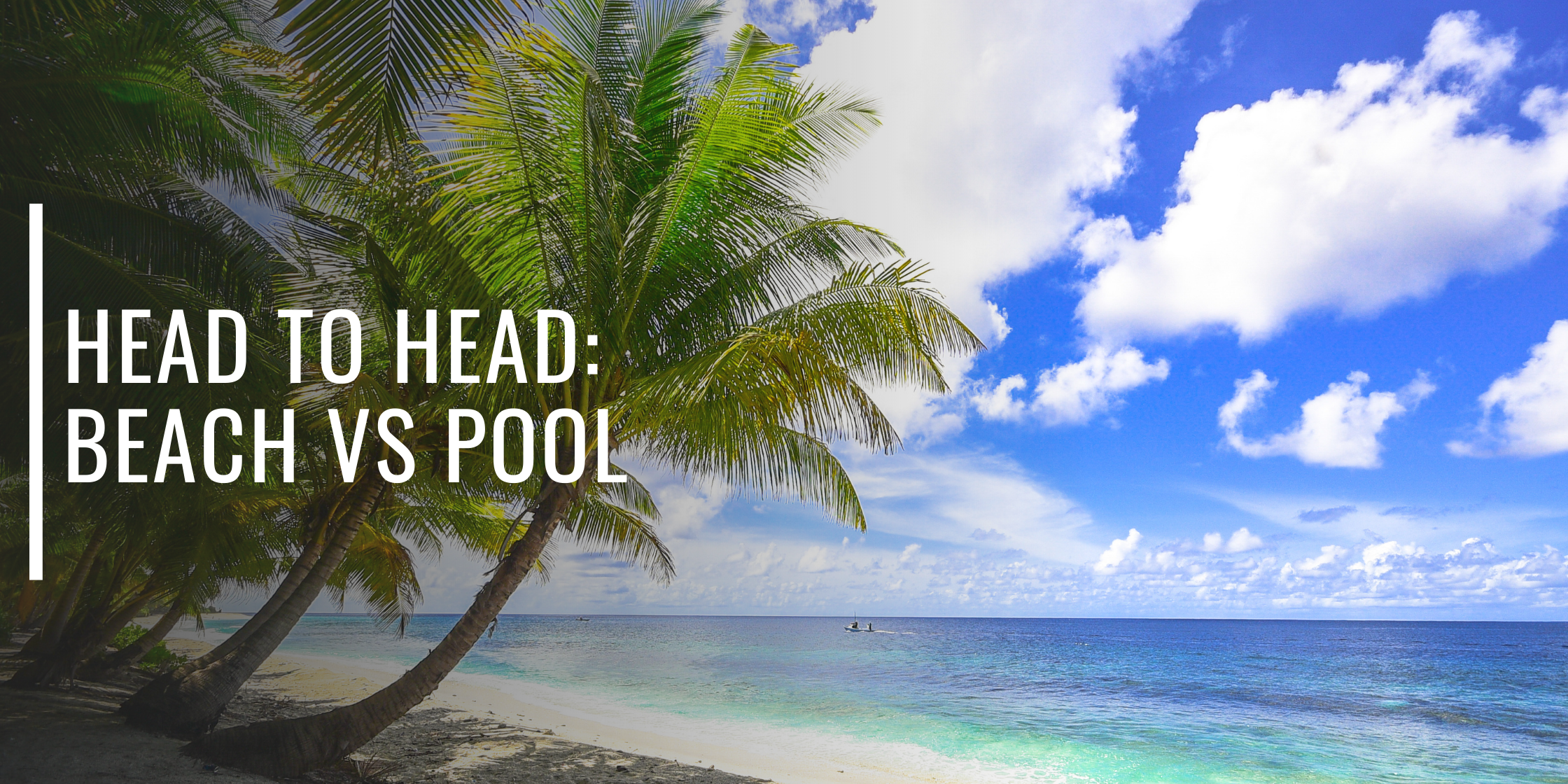 Head to Head: Beach vs Pool!-Bondi Joe Swimwear
