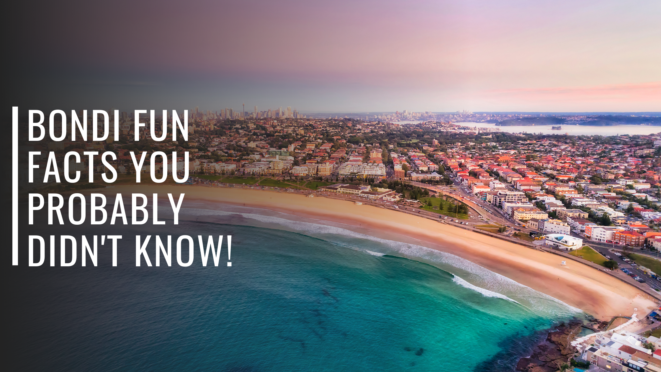 Bondi Fun Facts You Probably Didn't Know!-Bondi Joe Swimwear