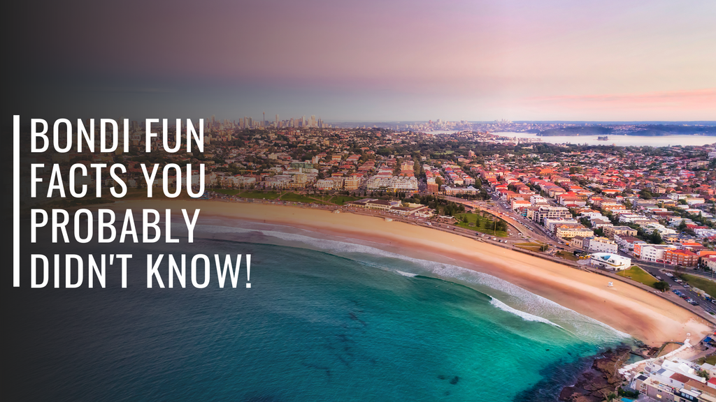Bondi Fun Facts You Probably Didn't Know!
