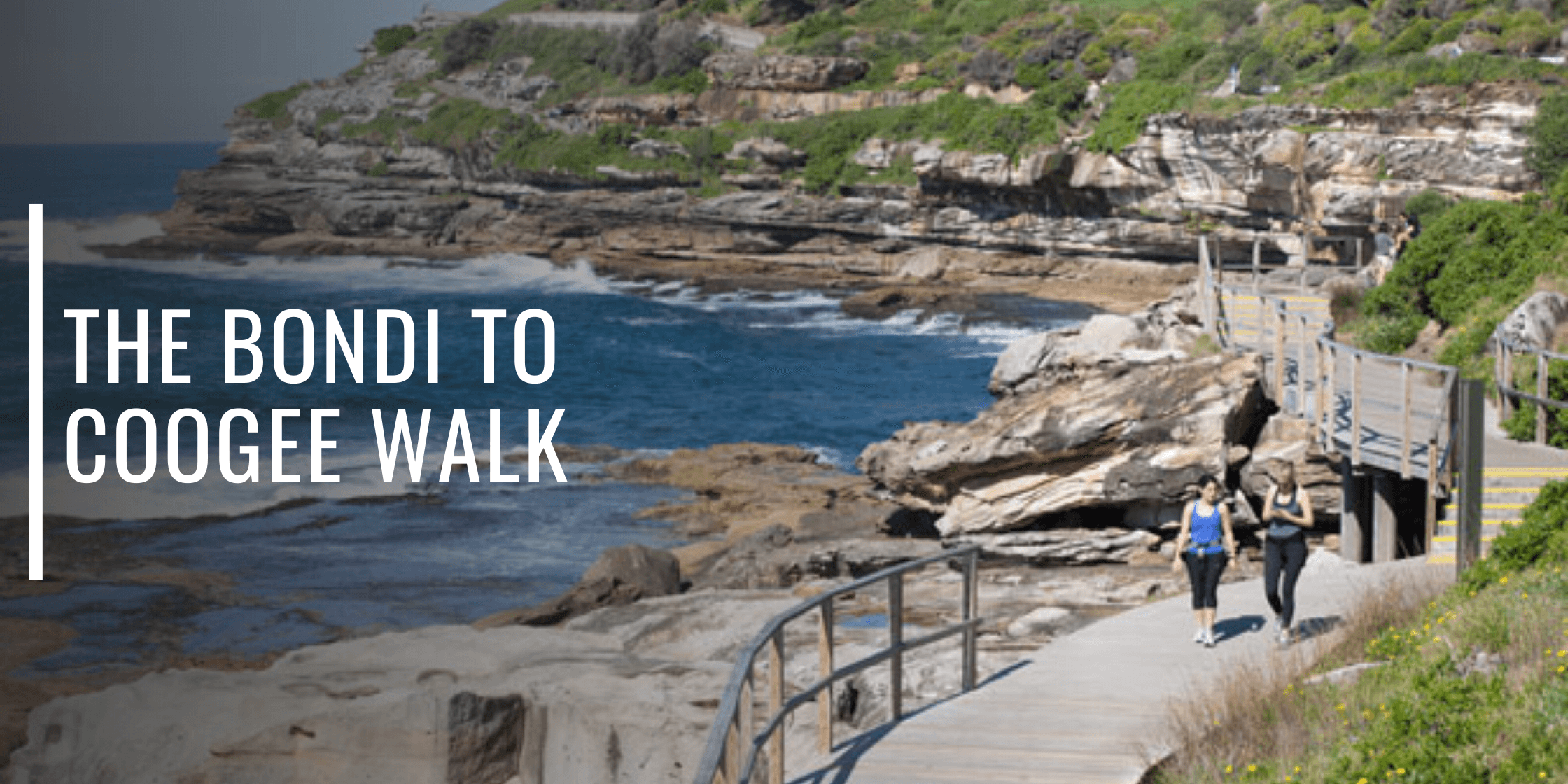 The Bondi to Coogee Walk-Bondi Joe Swimwear