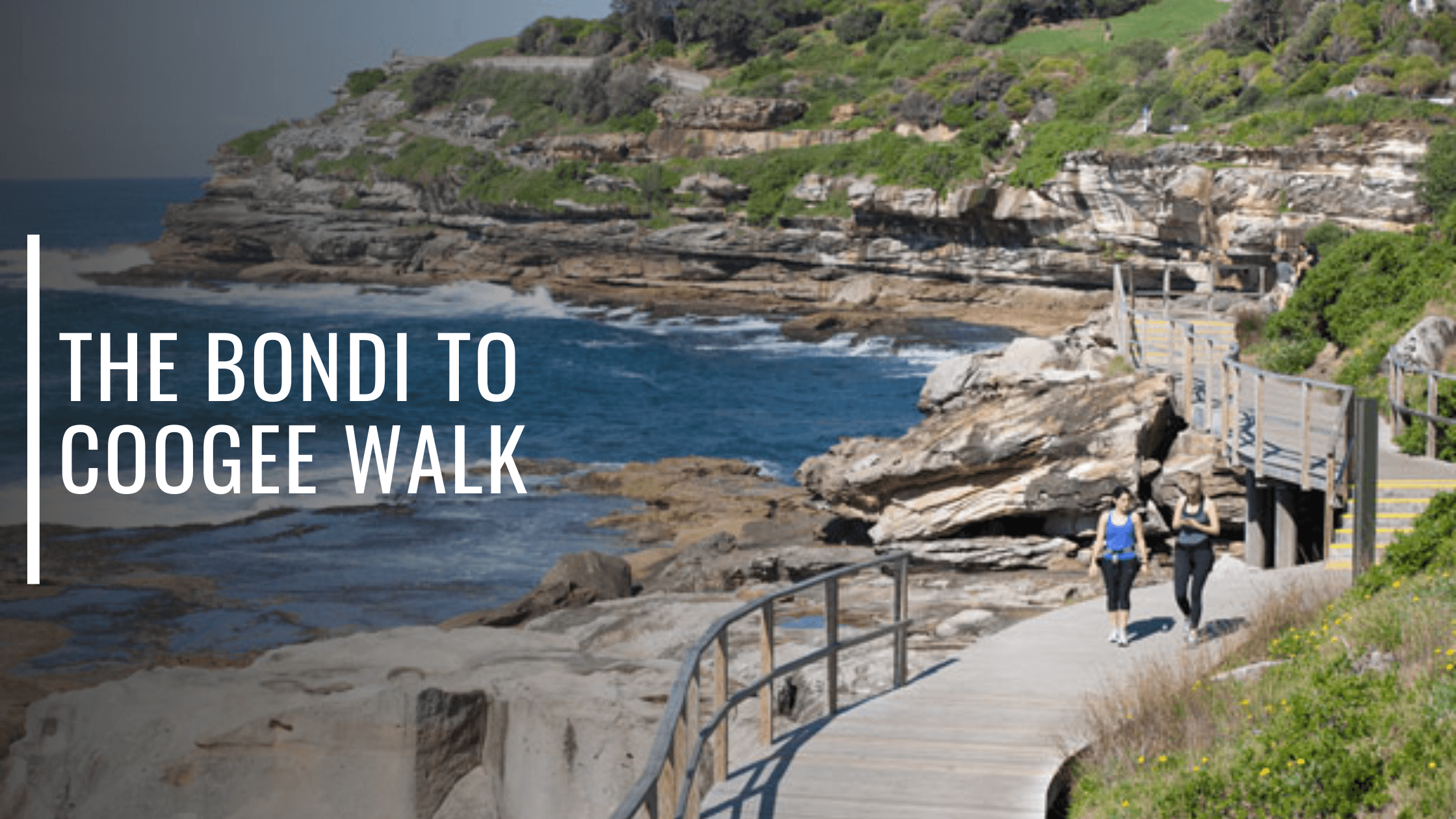 The Bondi to Coogee Walk-Bondi Joe Swimwear