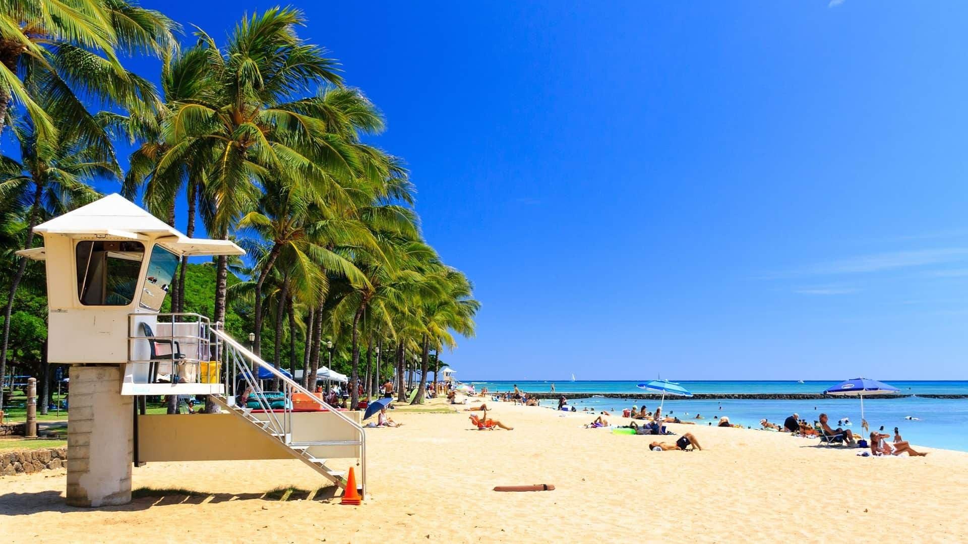 Guide to Swimming at Sunset Beach, Oahu, Hawaii-Bondi Joe Swimwear